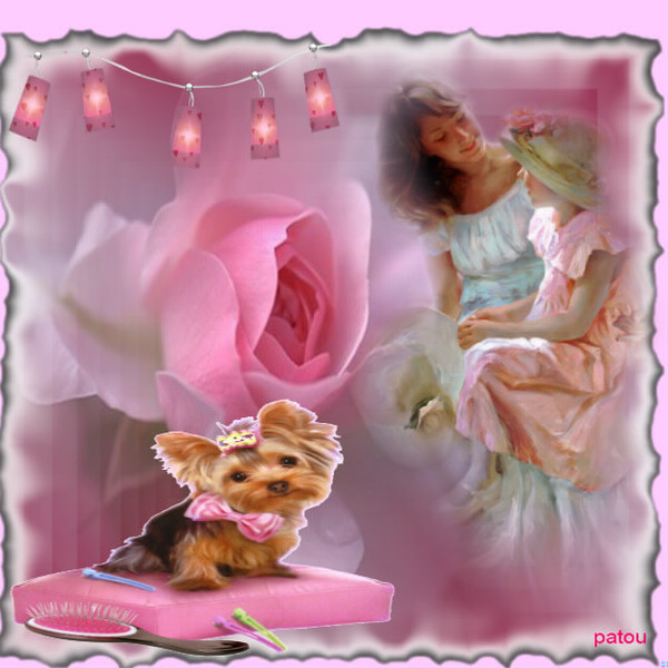 belle image